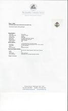 Load image into Gallery viewer, 2562: Vintage: 18ct Gold Burmese Ruby Diamonds Cluster Ring