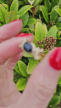 Cargar y reproducir el video en el visor de la galería, 1323: Vintage: 9ct Gold Australian Blue Sapphire Art Deco Style Ring