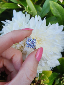 7267: Vintage: 14ct White Gold Violet Blue Tanzanites Cluster Ring- crisp, sparkling eye candy