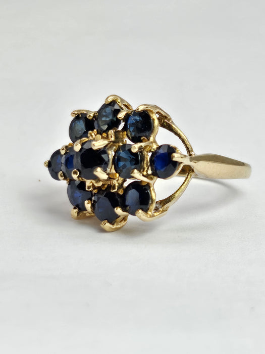 6364: Vintage: 9ct Australian Blue Sapphire Cluster Ring- From 1979