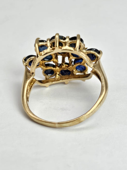 6364: Vintage: 9ct Australian Blue Sapphire Cluster Ring- From 1979