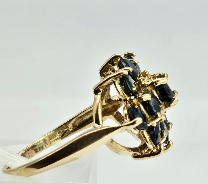 6364: Vintage: 9ct Australian Blue Sapphire Cluster Ring- From 1979