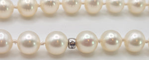 2612 Vintage Tiffany & Co Ziegfeld Freshwater Pearls Silver Necklace -Extra Long- 280cm