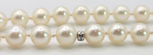 Cargar imagen en el visor de la galería, 2612 Vintage Tiffany &amp; Co Ziegfeld Freshwater Pearls Silver Necklace -Extra Long- 280cm
