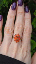 Load image into Gallery viewer, 2553: Vintage; 9ct Gold 17 Fire Opals Flower Head Ring
