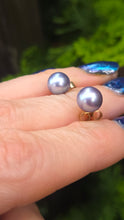 Load image into Gallery viewer, 3885: Vintage 9ct Gold Tahitian Cultured Pearl Stud Earrings
