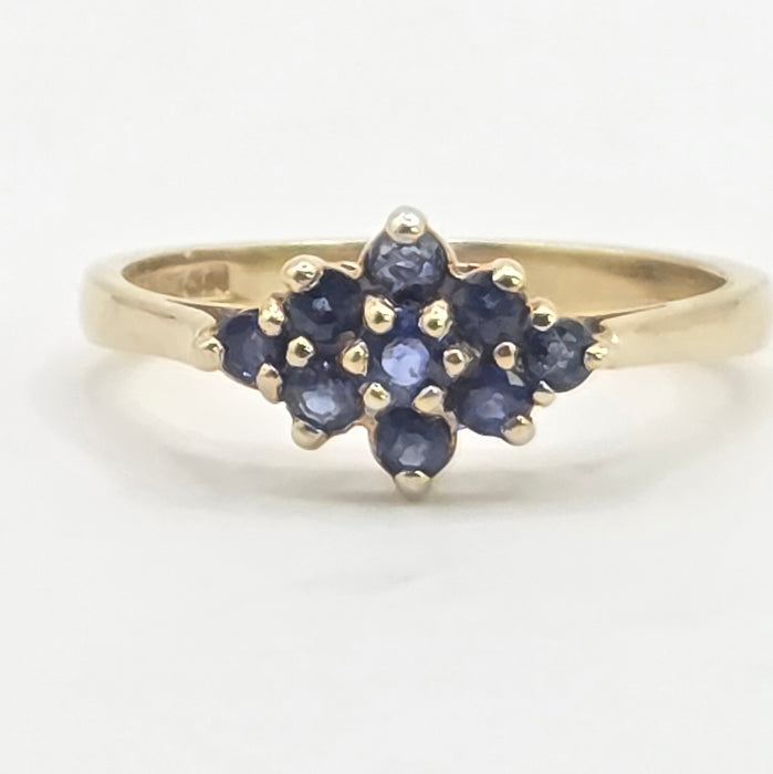 Vintage: 9ct Yellow Gold Sapphire Cluster Ring — From 1991
