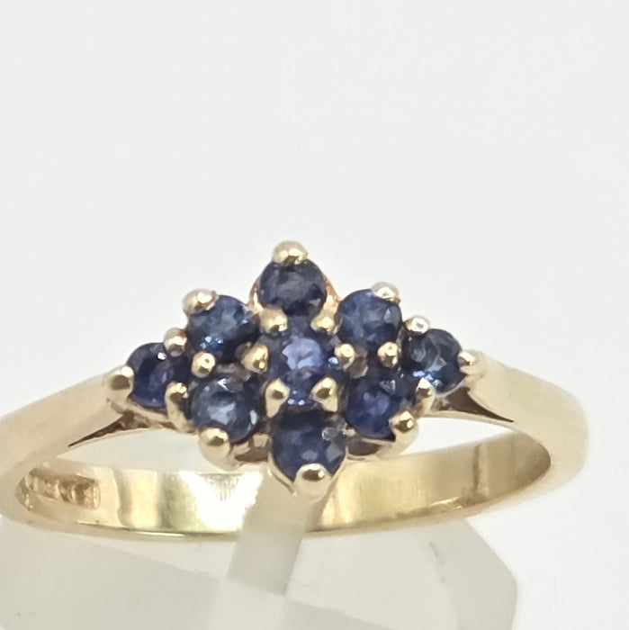 Vintage: 9ct Yellow Gold Sapphire Cluster Ring — From 1991