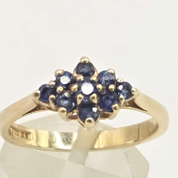 Vintage: 9ct Yellow Gold Sapphire Cluster Ring — From 1991