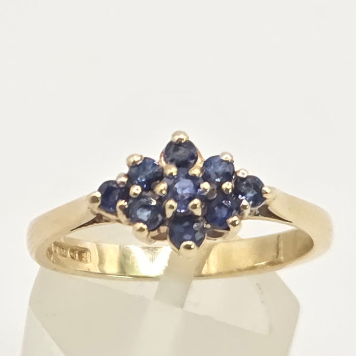Vintage: 9ct Yellow Gold Sapphire Cluster Ring — From 1991