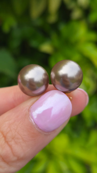 6633: Vintage: 14ct Gold Silver/Grey Tahitian Pearls Stud Earrings- stylish & good weight.