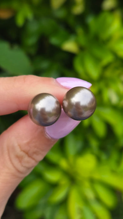 6633: Vintage: 14ct Gold Silver/Grey Tahitian Pearls Stud Earrings- stylish & good weight.
