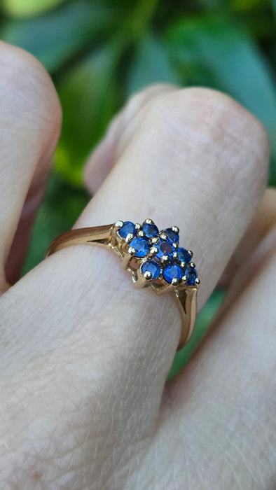 Vintage: 9ct Yellow Gold Sapphire Cluster Ring — From 1991