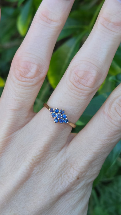 Vintage: 9ct Yellow Gold Sapphire Cluster Ring — From 1991