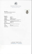 Load image into Gallery viewer, 2741: Vintage: 18ct Gold Australian Blue Sapphire Diamonds Diana Cluster Ring - From 1982
