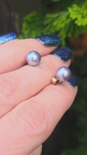 Load and play video in Gallery viewer, 3885: Vintage 9ct Gold Tahitian Cultured Pearl Stud Earrings
