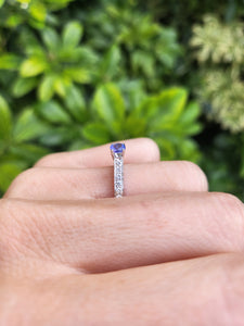 8354: Vintage: 18ct White Gold Blue Tanzanite 16 Diamonds Dress Ring- crisp, clean, eye candy